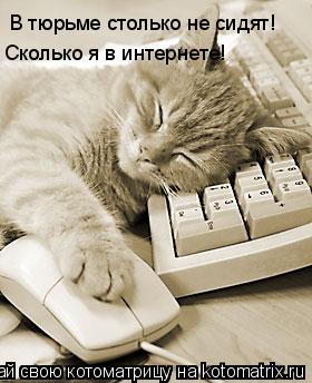 Котоматрица: В тюрьме столько не сидят! Сколько я в интернете!
