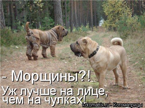 чем на чулках! - Морщины?! Уж лучше на лице,... Котоматрица: чем на чулках! - Морщины?! Уж лучше на лице,