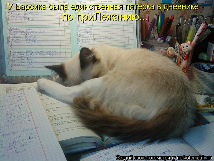 У Барсика была единственная пятёрка в дневнике - по приЛежанию...... Котоматрица: У Барсика была единственная пятёрка в дневнике - по приЛежанию...