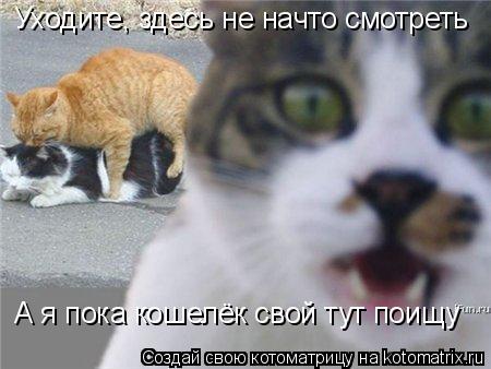Котоматрица: Уходите, здесь не начто смотреть А я пока кошелёк свой тут поищу