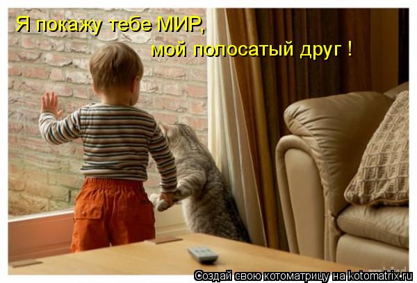 Я покажу тебе МИР, мой полосатый друг !... Котоматрица: Я покажу тебе МИР, мой полосатый друг !
