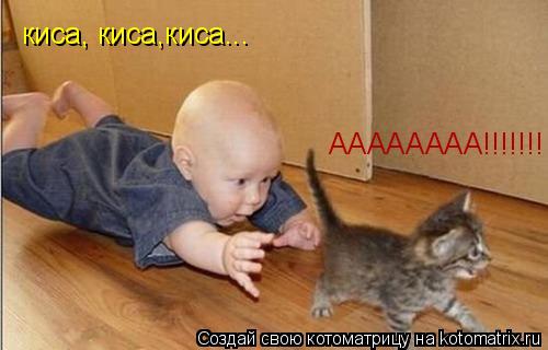 Котоматрица: киса, киса,киса... АААААААА!!!!!!!