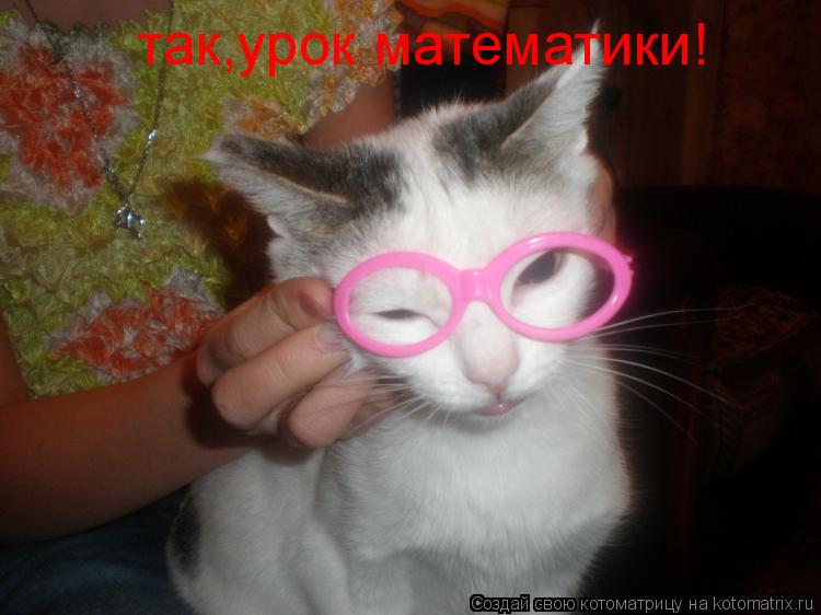 Котоматрица: так,урок математики!