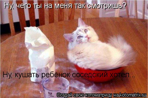 Котоматрица: Ну, чего ты на меня так смотришь? Ну, кушать ребёнок соседский хотел...
