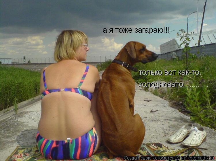 Котоматрица: а я тоже загараю!!! только вот как-то холодновато............