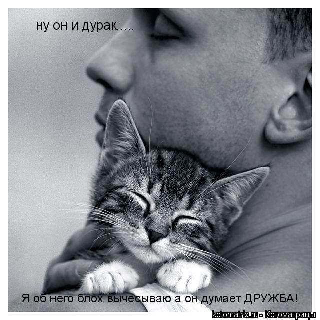 Котоматрица: ну он и дурак.....  Я об него блох вычесываю а он думает ДРУЖБА!