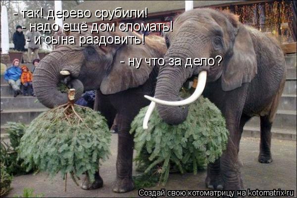 Котоматрица: - так! дерево срубили! - надо ещё дом сломать! - и сына раздовить! - ну что за дело?