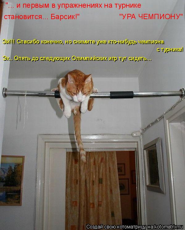 Котоматрица: "... и первым в упражнениях на турнике  становится... Барсик!"                   "УРА ЧЕМПИОНУ" Эй!!! Спасибо конечно, но снимите уже кто-нибудь чемпи