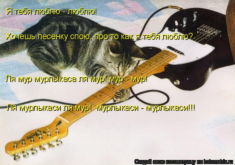 Котоматрица: Я тебя люблю - люблю! Хочешь песенку спою, про то как я тебя люблю? Ля мур мурлыкаса ля мур! мур - мур!  Ля мурлыкаси ля мур!  мурлыкаси - мурлыкас