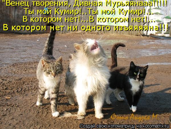Анекдотики Анекдотики