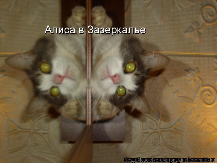 Котоматрица: Алиса в Зазеркалье