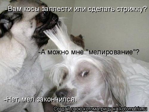 -Вам косы заплести или сделать стрижку? -А можно мне "мелирование"? -Нет, мел закончился.... Котоматрица: -Вам косы заплести или сделать стрижку? -А можно мне "мелирование"? -Нет, мел закончился.