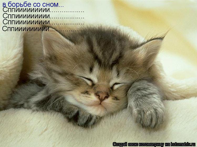 Котоматрица: в борьбе со сном... Сппиииииииии.................. Сппиииииииии.................. Сппиииииииии.................. Сппиииииииии..................