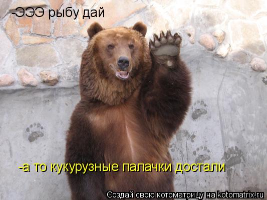 Котоматрица: -ЭЭЭ рыбу дай -а то кукурузные палачки достали