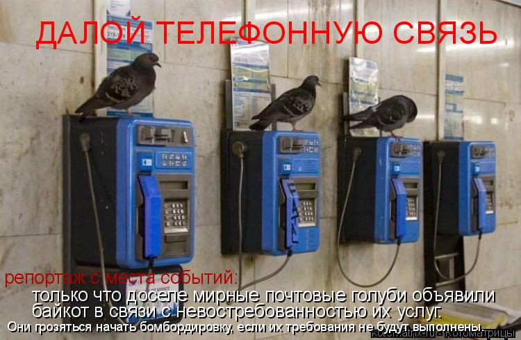 Котоматрица: ДАЛОЙ ТЕЛЕФОННУЮ СВЯЗЬ репортаж с места событий: только что доселе мирные почтовые голуби объявили байкот в связи с невостребованностью и