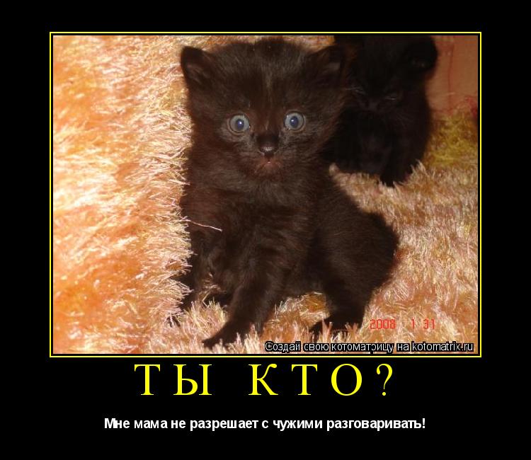 Котоматрица: Ты кто? Мне мама не разрешает с чужими разговаривать!