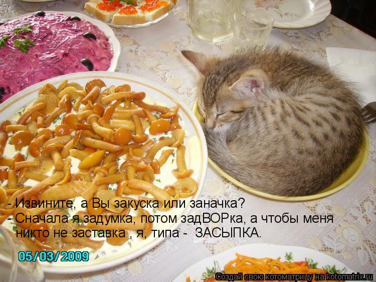 Котоматрица: - Извините, а Вы закуска или заначка? - Сначала я задумка, потом задВОРка, а чтобы меня  никто не заставка , я, типа -  ЗАСЫПКА…