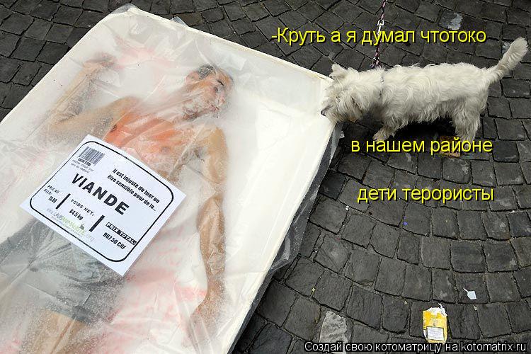 Котоматрица: -Круть а я думал чтотоко в нашем районе  дети терористы