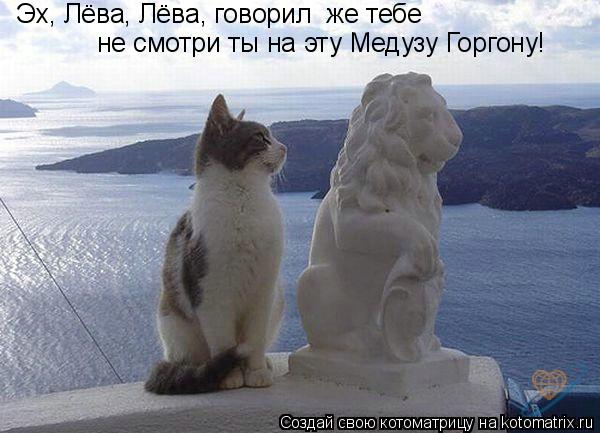 Котоматрица: Эх, Лёва, Лёва, говорил  же тебе не смотри ты на эту Медузу Горгону!