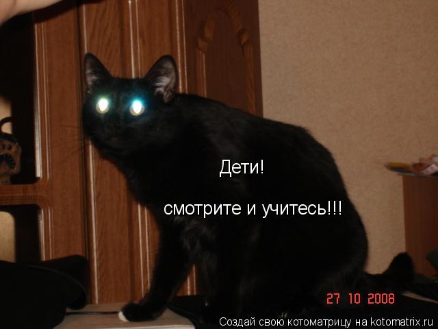 Котоматрица: смотрите и учитесь!!! Дети!