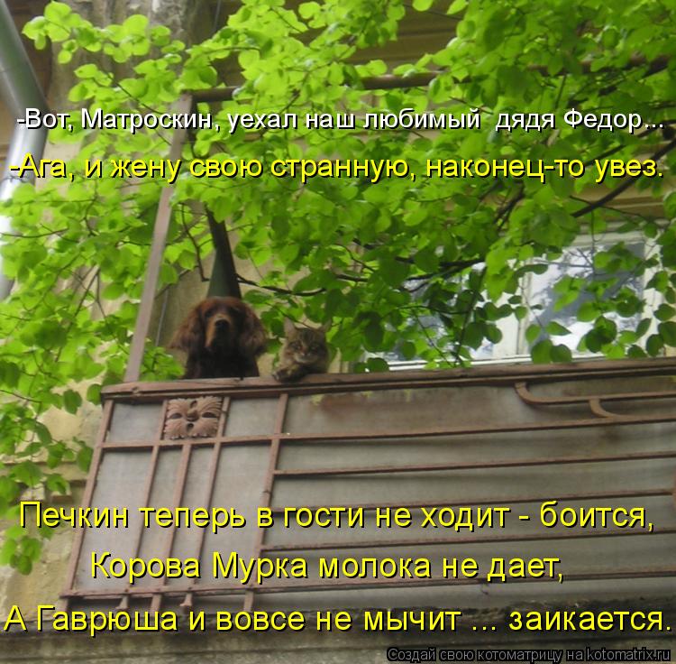А Гаврюша и вовсе не мычит ... заикается... Корова Мурка молока не дает, Печкин теперь в гости не ход... Котоматрица: А Гаврюша и вовсе не мычит ... заикается... Корова Мурка молока не дает, Печкин теперь в гости не ходит - боится, -Ага, и жену свою странную, нако