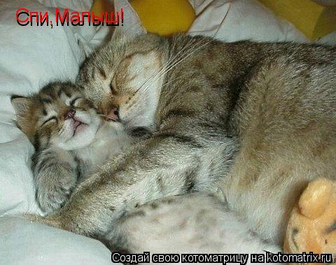 Котоматрица: Спи,Малыш!  Спи,Малыш!