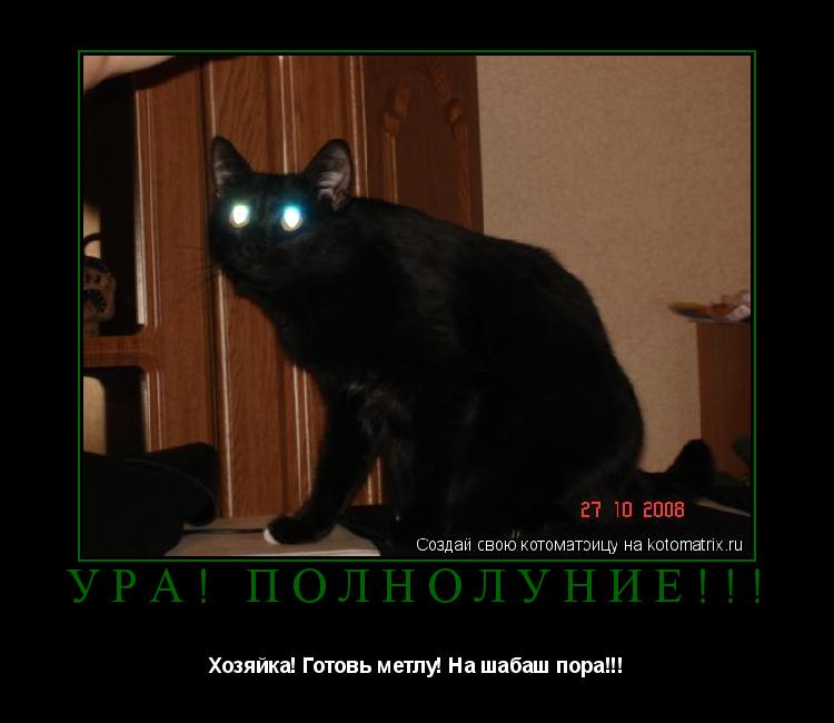 Котоматрица: Ура! Полнолуние!!! Хозяйка! Готовь метлу! На шабаш пора!!!