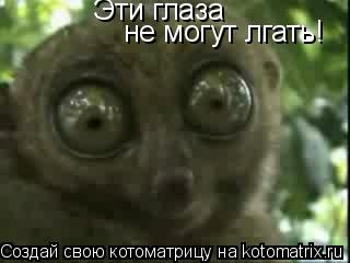 Эти глаза не могут лгать!... Котоматрица: Эти глаза не могут лгать!