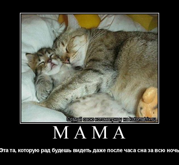 Котоматрица: МАМА Эта та, которую рад будешь видеть даже после часа сна за всю ночь