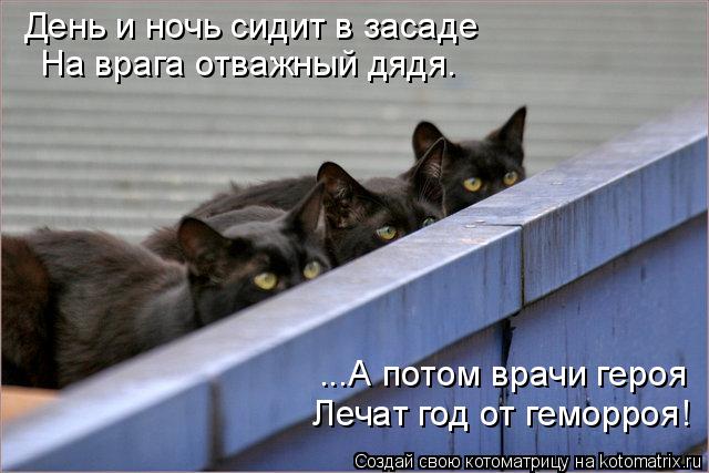 День и ночь сидит в засаде На врага отважный дядя. ...А потом врачи героя Лечат год от геморроя!... Котоматрица: День и ночь сидит в засаде На врага отважный дядя. ...А потом врачи героя Лечат год от геморроя!