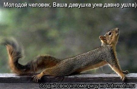 Молодой человек, Ваша девушка уже давно ушла)... Котоматрица: Молодой человек, Ваша девушка уже давно ушла)