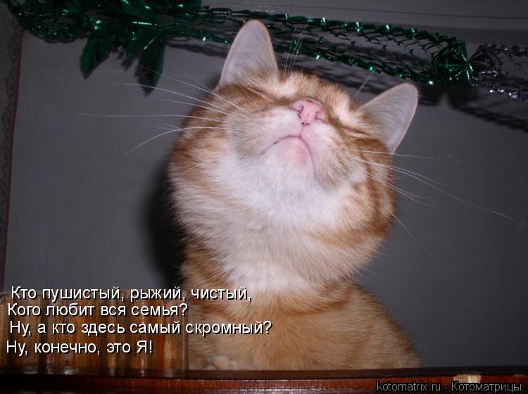 Кто пушистый, рыжий, чистый, Кого любит вся семья? Ну, а кто здесь самый скромный? Ну, конечно, это Я... Котоматрица: Кто пушистый, рыжий, чистый, Кого любит вся семья? Ну, а кто здесь самый скромный? Ну, конечно, это Я!