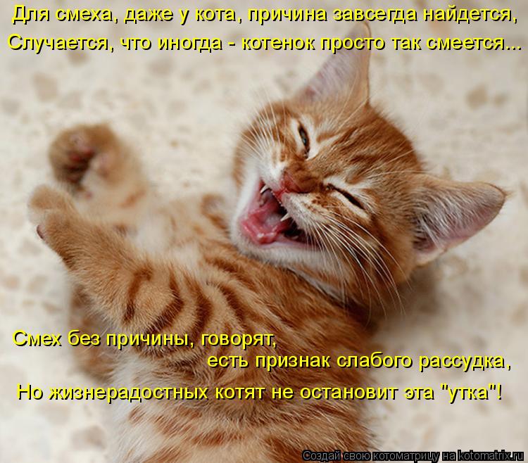 Для смеха, даже у кота, причина завсегда найдется, Смех без причины, говорят, есть признак слабого ра... Котоматрица: Для смеха, даже у кота, причина завсегда найдется, Смех без причины, говорят, есть признак слабого рассудка, Но жизнерадостных котят не оста