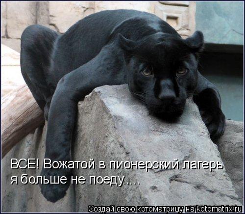 ВСЕ! Вожатой в пионерский лагерь я больше не поеду........ Котоматрица: ВСЕ! Вожатой в пионерский лагерь я больше не поеду.....