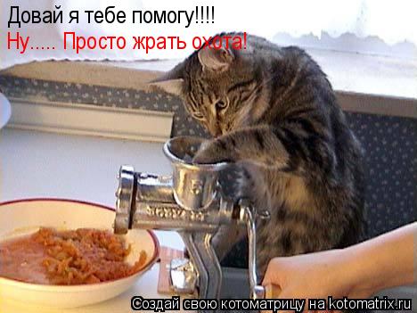 Котоматрица: Довай я тебе помогу!!!! Ну..... Просто жрать охота!