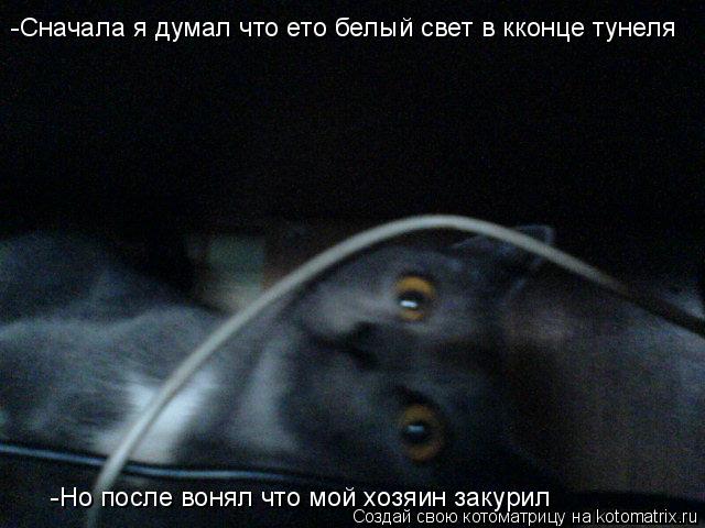 Котоматрица: -Сначала я думал что ето белый свет в кконце тунеля -Но после вонял что мой хозяин закурил
