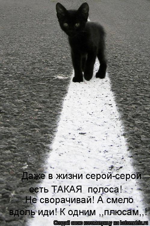 http://kotomatrix.ru/images/lolz/2009/06/21/Yx.jpg