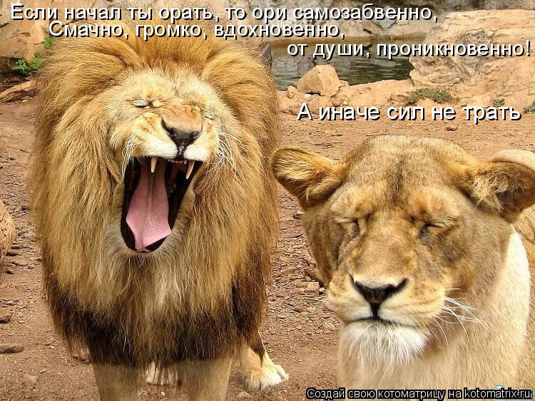 Если начал ты орать, то ори самозабвенно, Смачно, громко, вдохновенно, от души, проникновенно! А ина... Котоматрица: Если начал ты орать, то ори самозабвенно, Смачно, громко, вдохновенно, от души, проникновенно! А иначе сил не трать