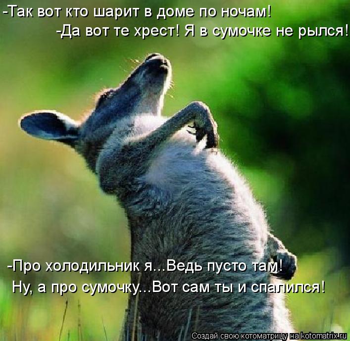 -Так вот кто шарит в доме по ночам! -Да вот те хрест! Я в сумочке не рылся! -Про холодильник я...Ведь... Котоматрица: -Так вот кто шарит в доме по ночам! -Да вот те хрест! Я в сумочке не рылся! -Про холодильник я...Ведь пусто там! Ну, а про сумочку...Вот сам ты и спа
