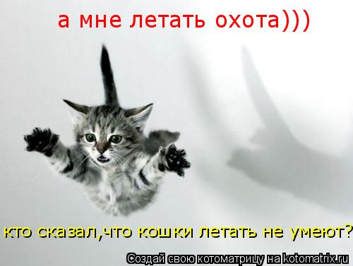 Котоматрица: кто сказал,что кошки летать не умеют? а мне летать охота)))