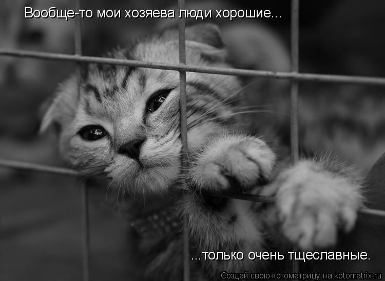 Котоматрица: Вообще-то мои хозяева люди хорошие... ...только очень тщеславные.