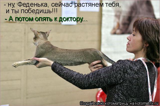 Котоматрица: - ну, Феденька, сейчас растянем тебя, и ты победишь!!! - А потом опять к доктору...