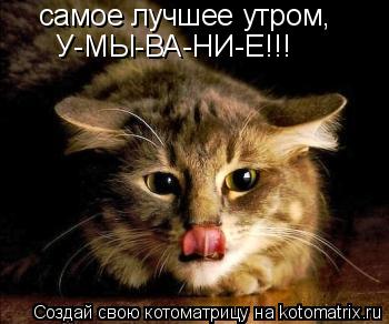 Котоматрица: самое лучшее утром, У-МЫ-ВА-НИ-Е!!!