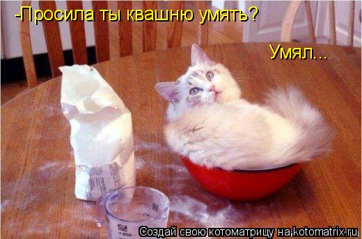 Котоматрица: -Просила ты квашню умять? Умял...