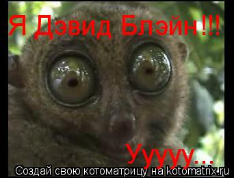 Котоматрица: Я Дэвид Блэйн!!! Ууууу...