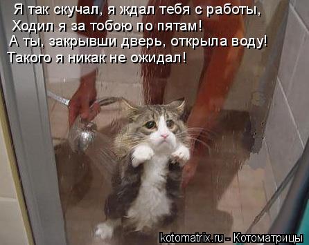 Я так скучал, я ждал тебя с работы, Ходил я за тобою по пятам! А ты, закрывши дверь, открыла воду! Та... Котоматрица: Я так скучал, я ждал тебя с работы, Ходил я за тобою по пятам! А ты, закрывши дверь, открыла воду! Такого я никак не ожидал!