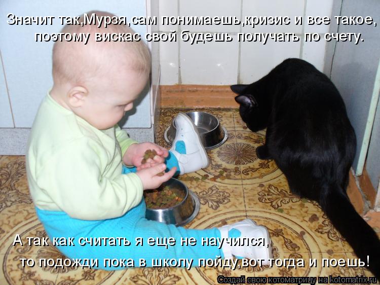 Котоматрица: Значит так,Мурзя,сам понимаешь,кризис и все такое, поэтому вискас свой будешь получать по счету. А так как считать я еще не научился, то подо