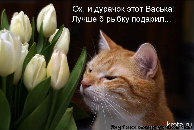 Котоматрица: Ох, и дурачок этот Васька! Лучше б рыбку подарил...
