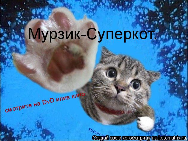 Котоматрица: Мурзик-Суперкот. смотрите на DvD илив кино supercat