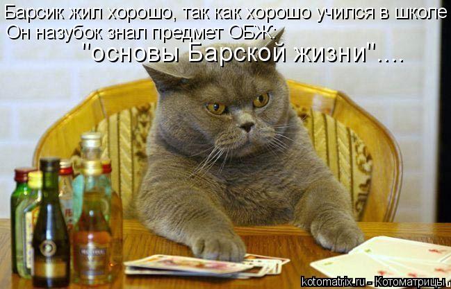 Барсик жил хорошо, так как хорошо учился в школе Он назубок знал предмет ОБЖ: "основы Барской жизни".... Котоматрица: Барсик жил хорошо, так как хорошо учился в школе Он назубок знал предмет ОБЖ: "основы Барской жизни"....